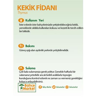 Kekik Bitkisi Askılı