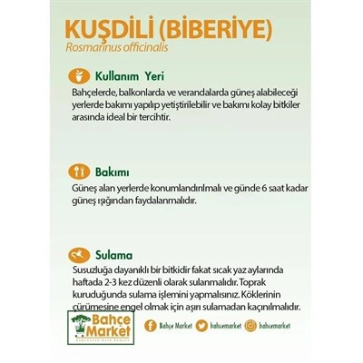 Kuşdili (Biberiye) 10-20 Cm