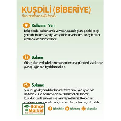 Kuşdili (Biberiye)