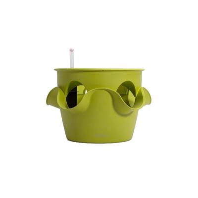 Lechuza Akıllı Saksı