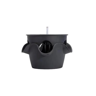 Lechuza Akıllı Saksı