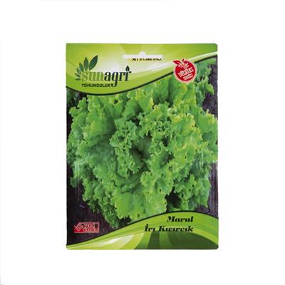 Sunagri İri Kıvırcık Marul Tohumu