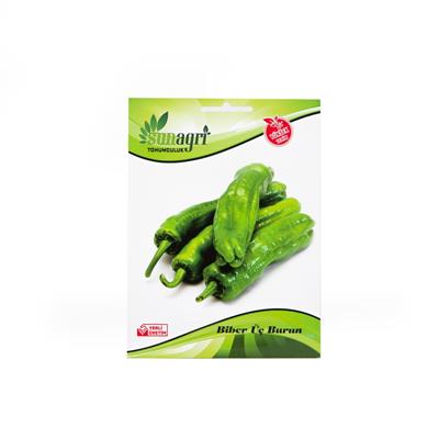 Mazamort Üçburun Biber Tohumu