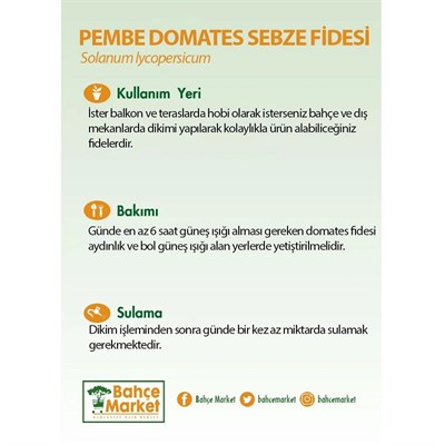 Pembe Domates  Fidesi