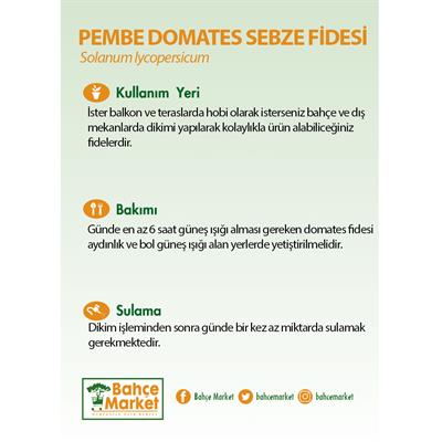 Pembe Domates  Fidesi