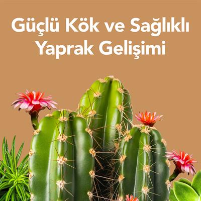 PetroTurk Succulent Sıvı Bitki Besini 250 Ml