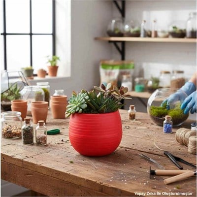 Plastik Midi Saksı Aranjman