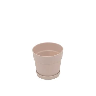 Poliwork Tabaklı Kaktüs Saksı Mix 0,11 Lt 65*60 Mm