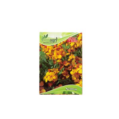 Sunagri Şebboy Çiçek Tohumu