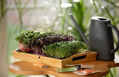 Serinova 1,7 Lt Sulama Bidonu Antrasit