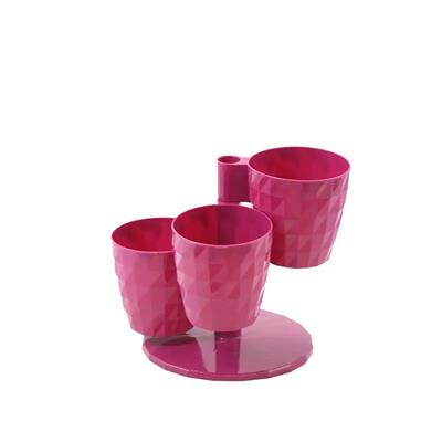 Serinova Dönence 3lü Saksı Takımı