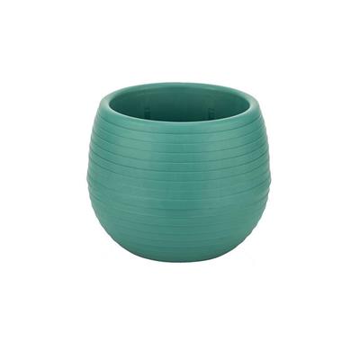 Serinova Elvan Kaktüs Saksısı 0.13 Lt