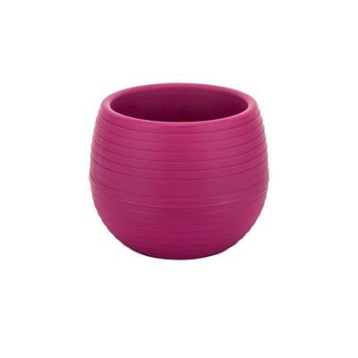 Serinova Elvan Kaktüs Saksısı 0.13 Lt