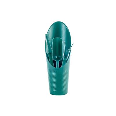 Serinova Kaktüs Dikim Seti