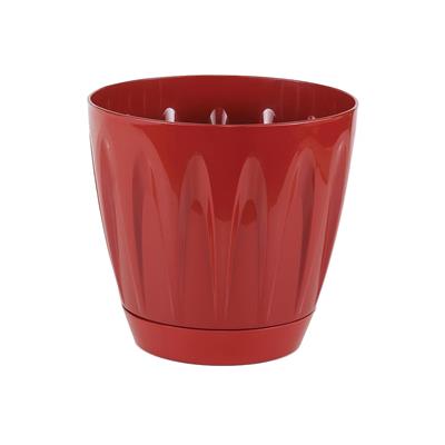 Serinova Papatya Tabaklı Saksı 6 Lt