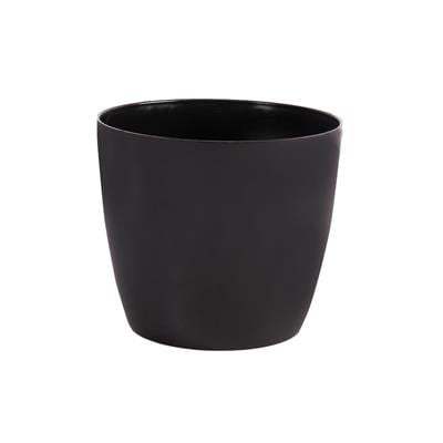 Serinova Yakut Parlak  Saksı 22 Lt