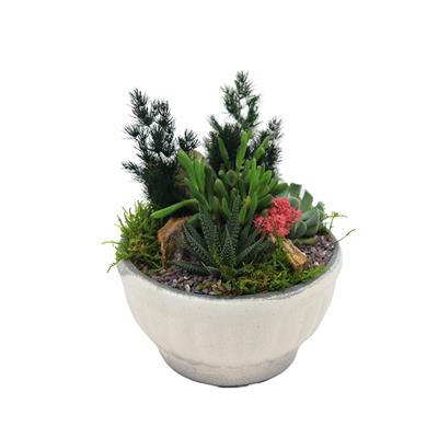 Terrarium (Teraryum) Aranjman