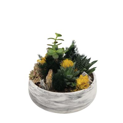 Terrarium (Teraryum) Aranjman 13