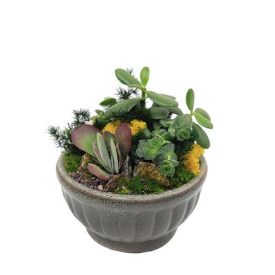 Terrarium (Teraryum) Aranjman