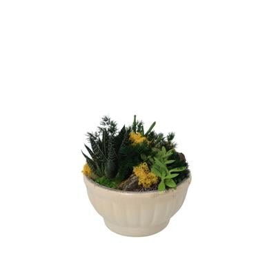 Terrarium (Teraryum) Aranjman