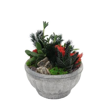 Terrarium (Teraryum) Aranjman