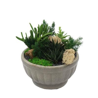 Terrarium (Teraryum) Aranjman