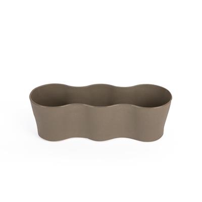 Üçlü Kaktüs Saksı 5,5 Cm