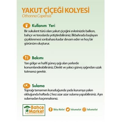 Yakut Çiçeği Kolyesi