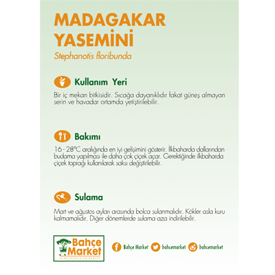 Yasemin Madagaskar 12 Çap