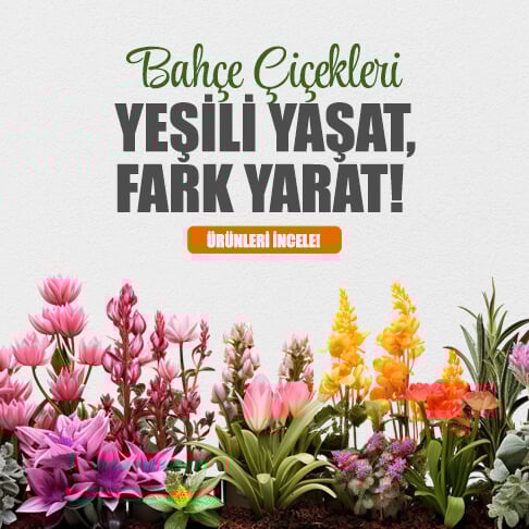 Bahçe Çiçekleri