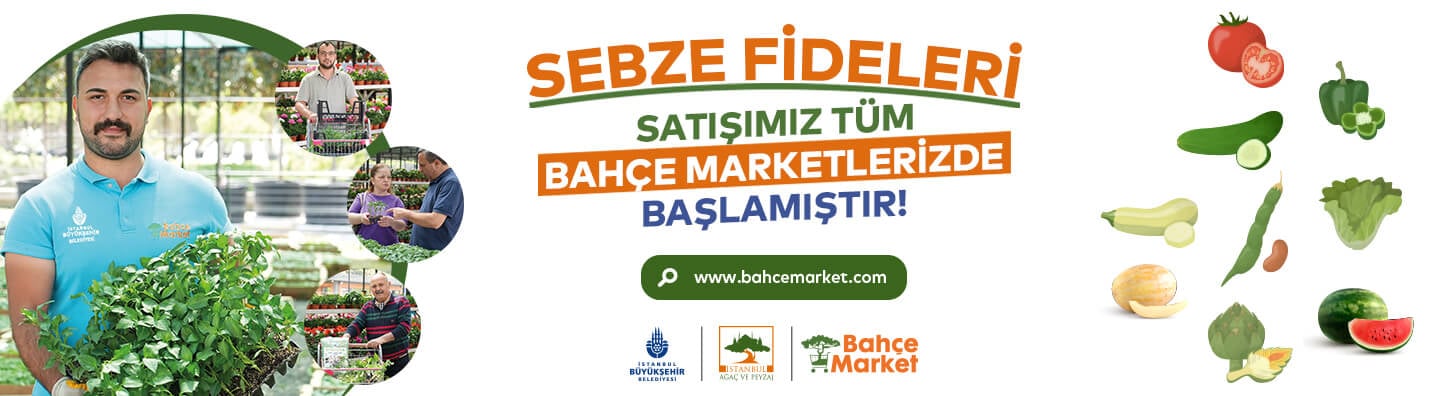Sebze Fideleri