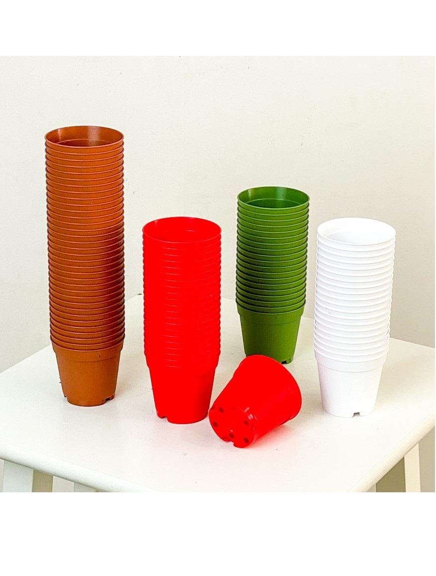 10 Adet 5.5 cm Sukulent Saksısı