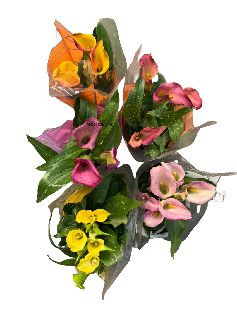 2 Farklı Renk Gala Çiçeği Karışık Renk (Zantedeschia Calla)
