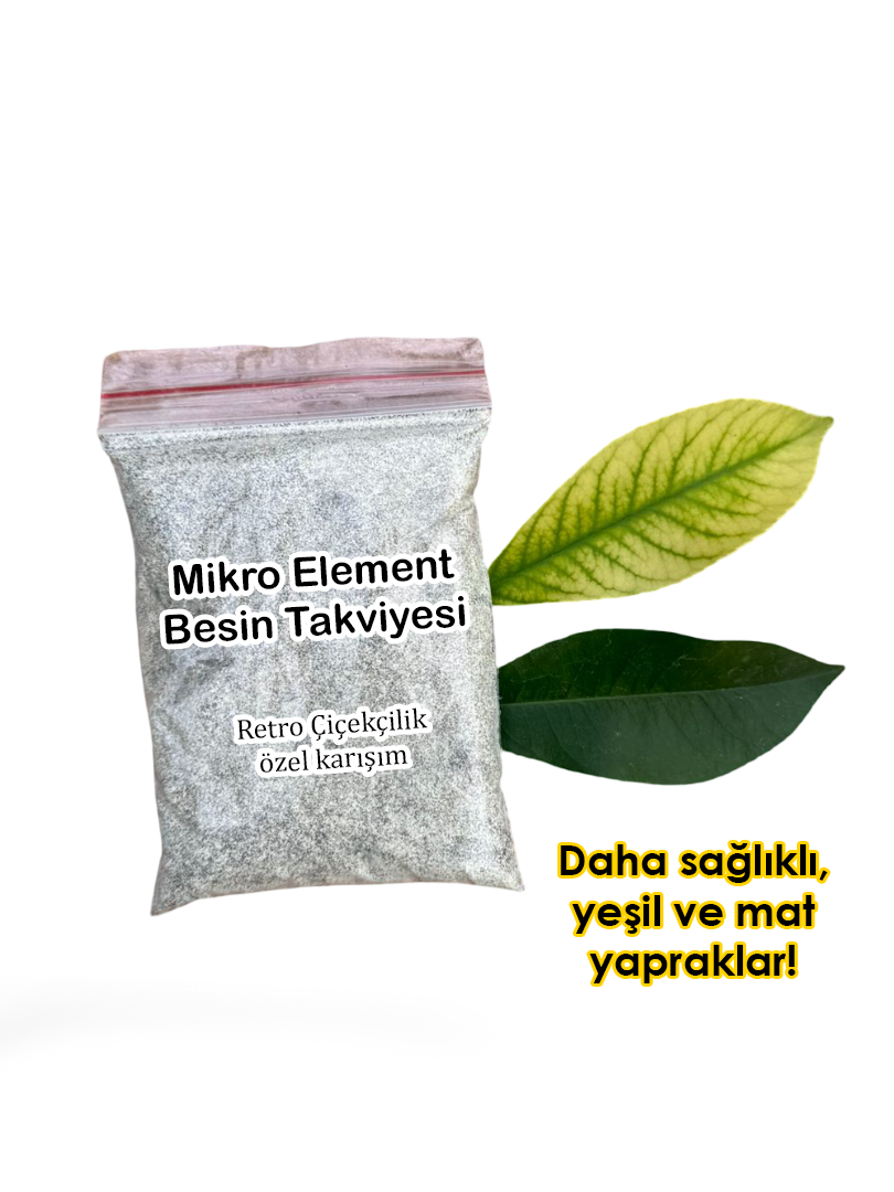 Mikro element