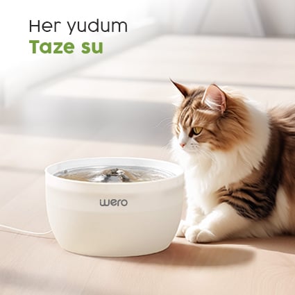 Wero Tech