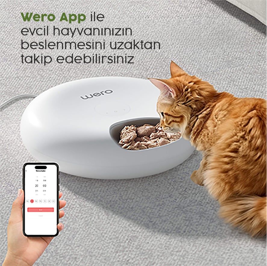 Wero Tech