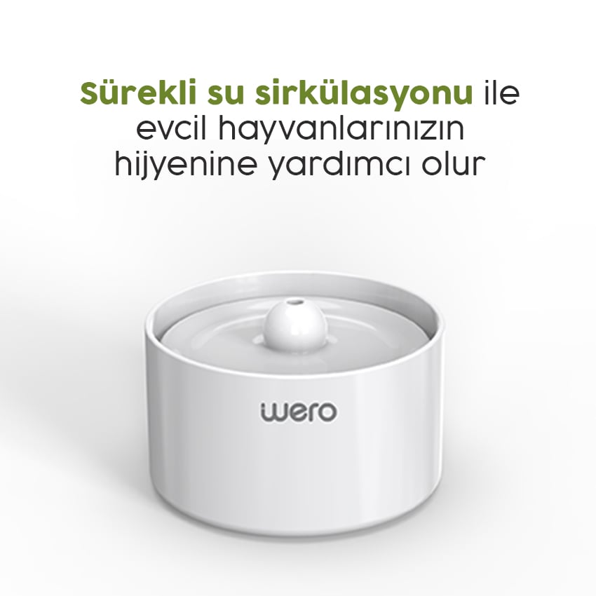 Wero Tech