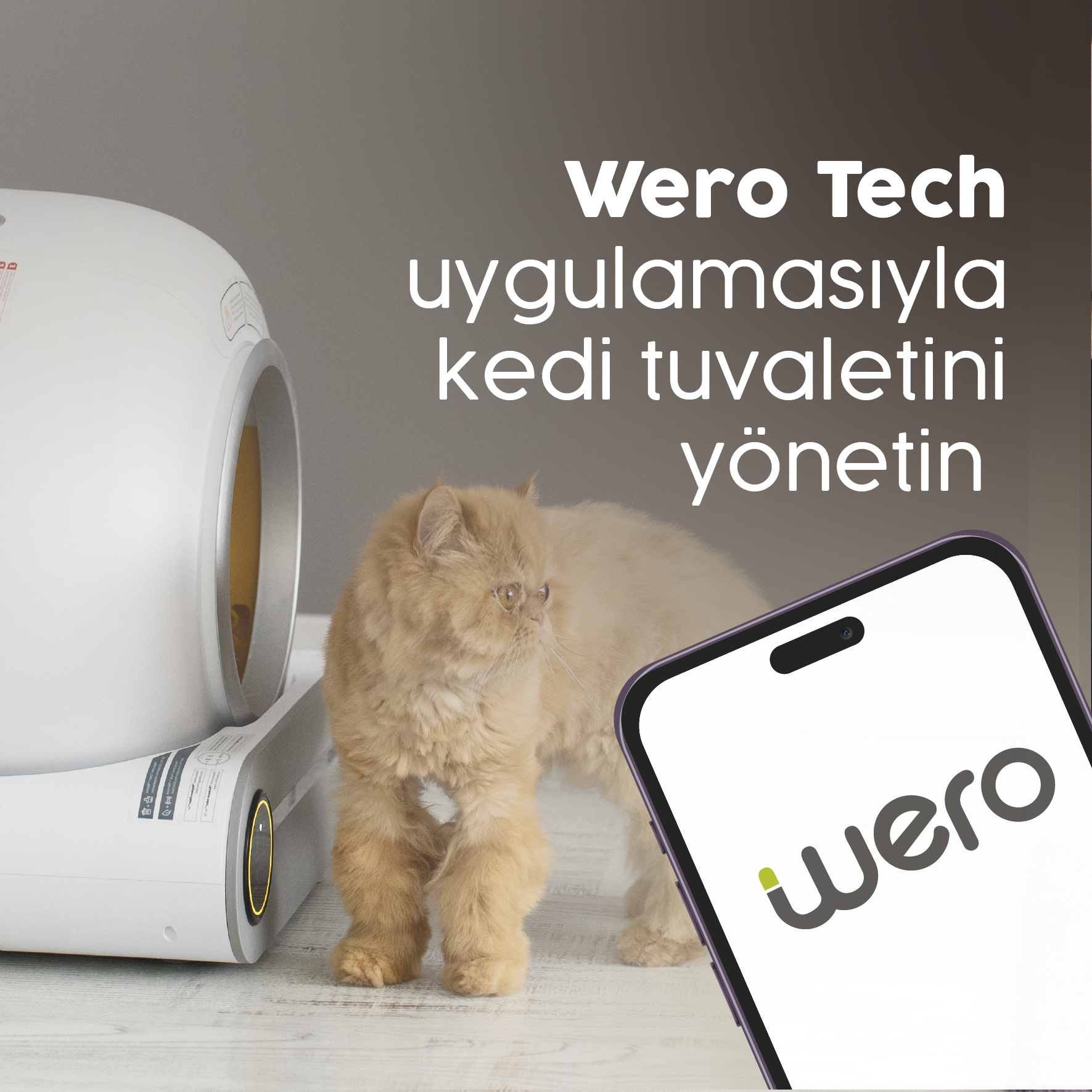 Wero Tech