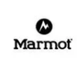 Marmot