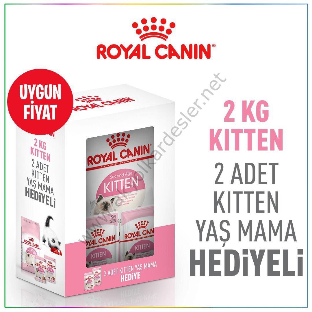 Royal Canin Box Kitten Yavru Kedi Maması 2 Kg + 2 Adet Kitten Yaş Mama  Hediyeli