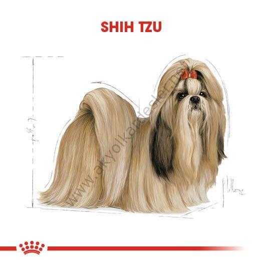 Petco royal top canin shih tzu