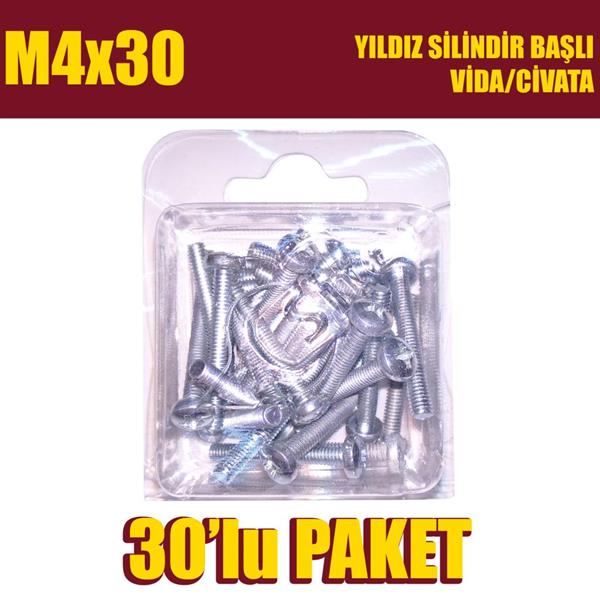 M4x30 Yıldız Silindir Başlı (YSB) Vida/Civata 30 Adet