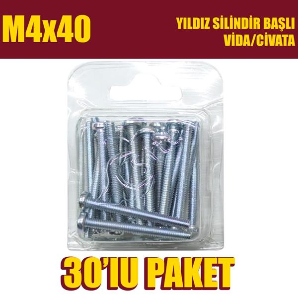 M4x40 Yıldız Silindir Başlı (YSB) Vida/Civata 30 Adet