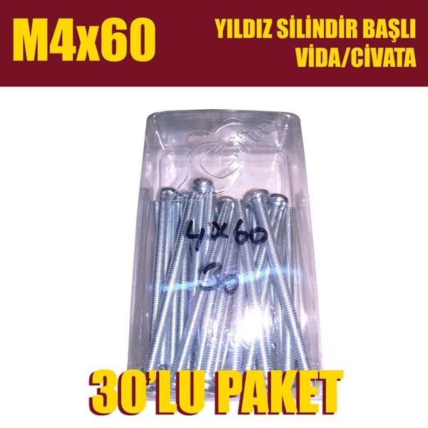 M4x60 Yıldız Silindir Başlı (YSB) Vida/Civata 30'lu Paket