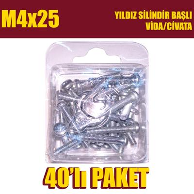 M4x25 Yıldız Silindir Başlı (YSB) Vida/Civata 40 Adet