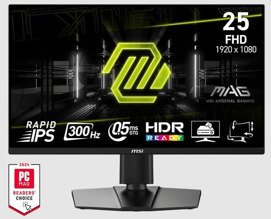 24.5 MSI MAG 255PXF 0.5MS 300HZ GTG FHD FLAT IPS
