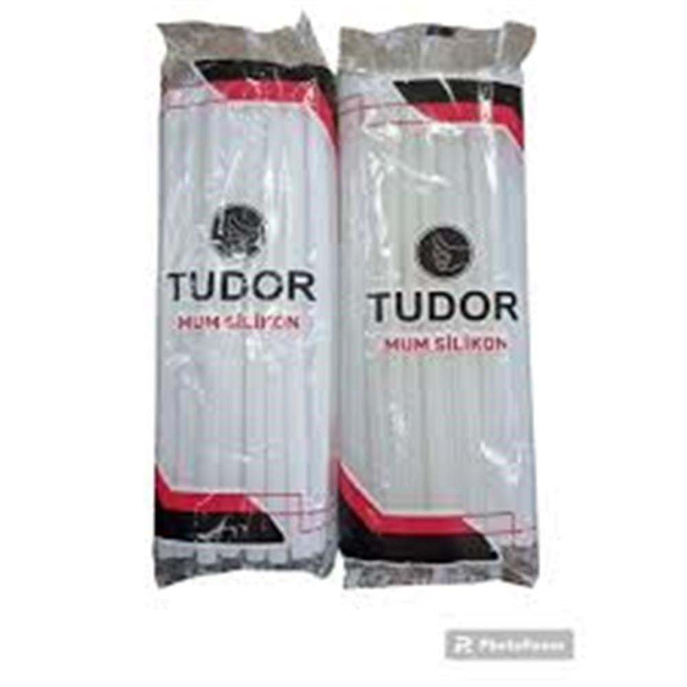 Tudor Macrofix Mum Silikon Kalın 1KG