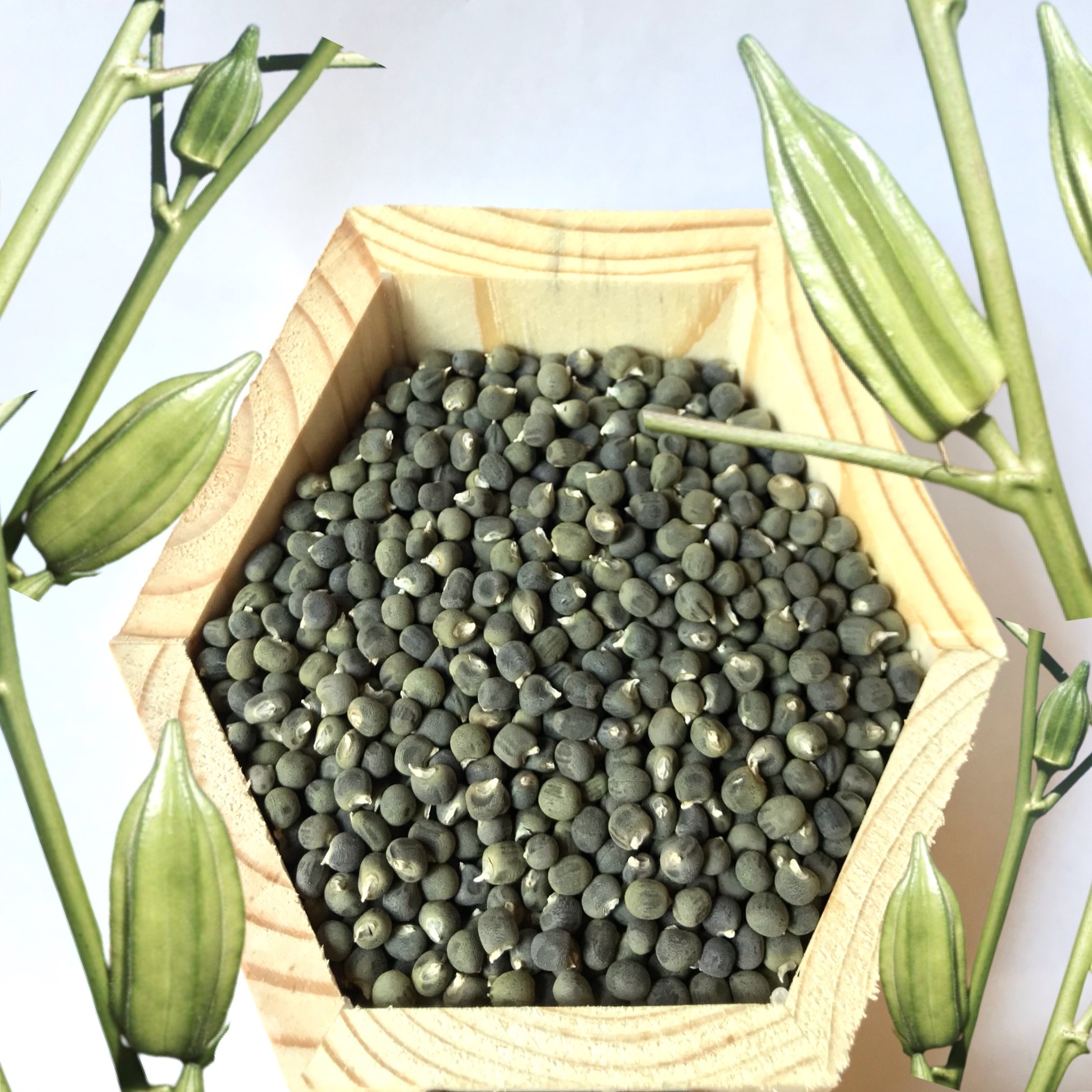 Bamya Tohumu 100 gr