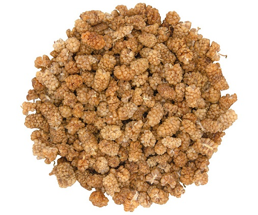 Organik Kuru Dut 250 gr Orgibite