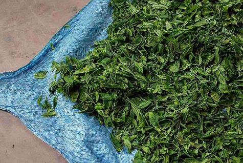 Portakal-Bergamot Aromalı Siyah Çay 350 gr Lazika